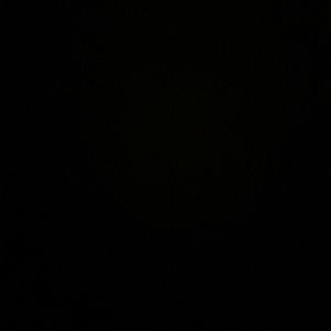 Meet your Posher, Autumn